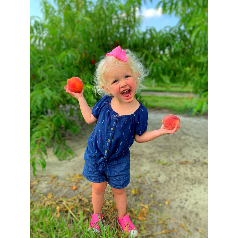 Orchards Your Picking Experience